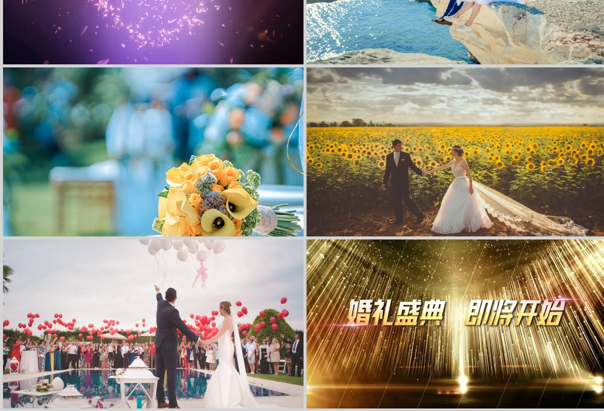 2019抖音快闪婚礼开场视频ppt模板创意电子相册