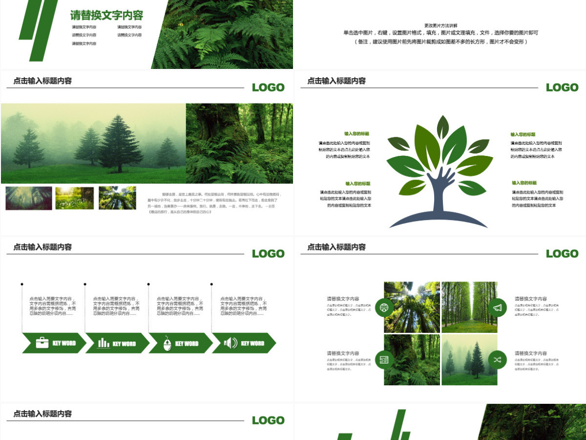 原创绿色环保世界湿地森林日动态PPT模板-版权可商用