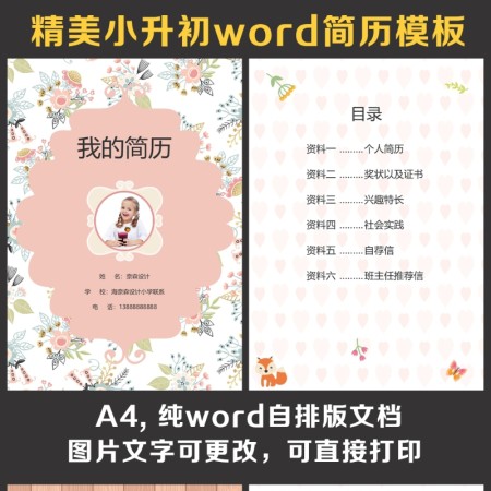 小升初简历