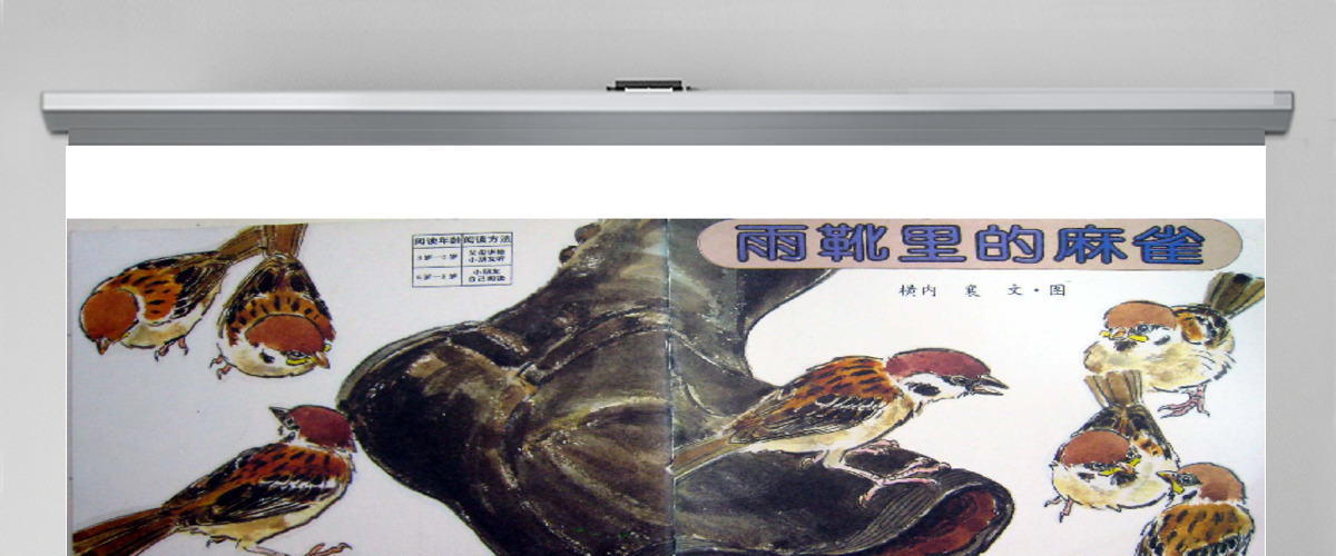 儿童经典故事——雨靴里的麻雀 儿童经典故事——雨靴里的麻雀