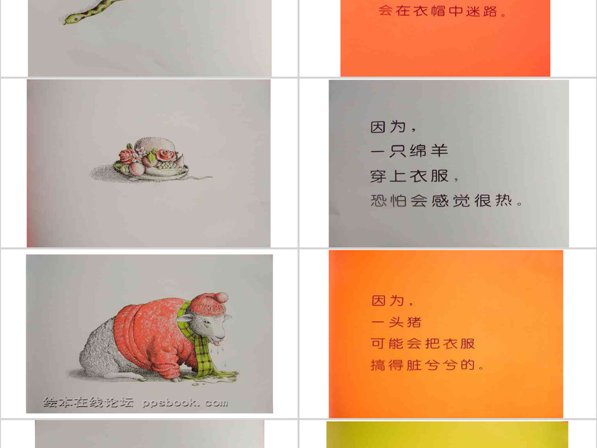 动物绝对不应该穿衣服 动物绝对不应该穿衣服