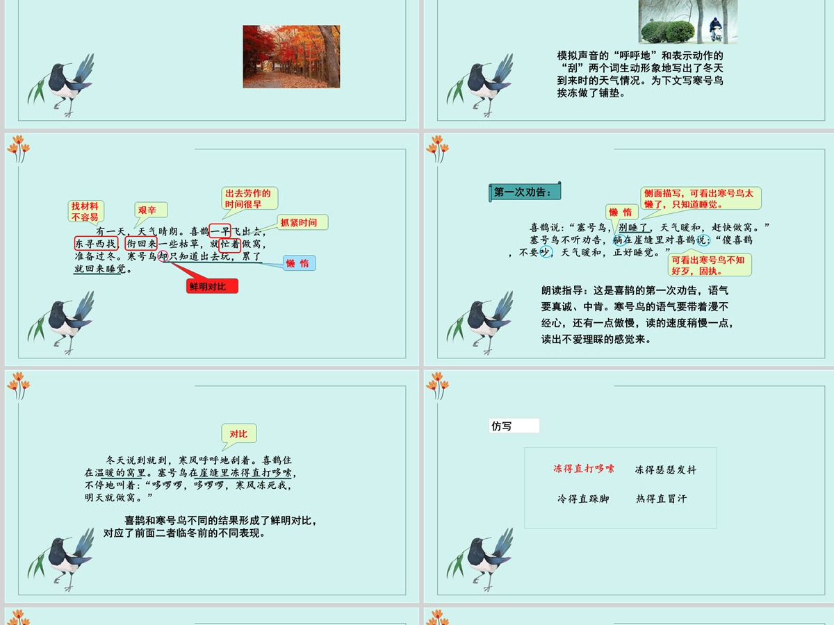 2022寒号鸟课文第13课小学二年级语文上册部编人教版教学课件PPT 2022寒号鸟课文第13课小学二年级语文上册部编人教版教学课件PPT