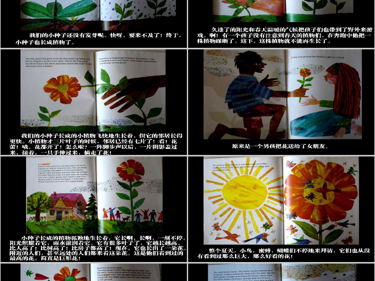 小种子幼儿绘本教育课件 小种子幼儿绘本教育课件