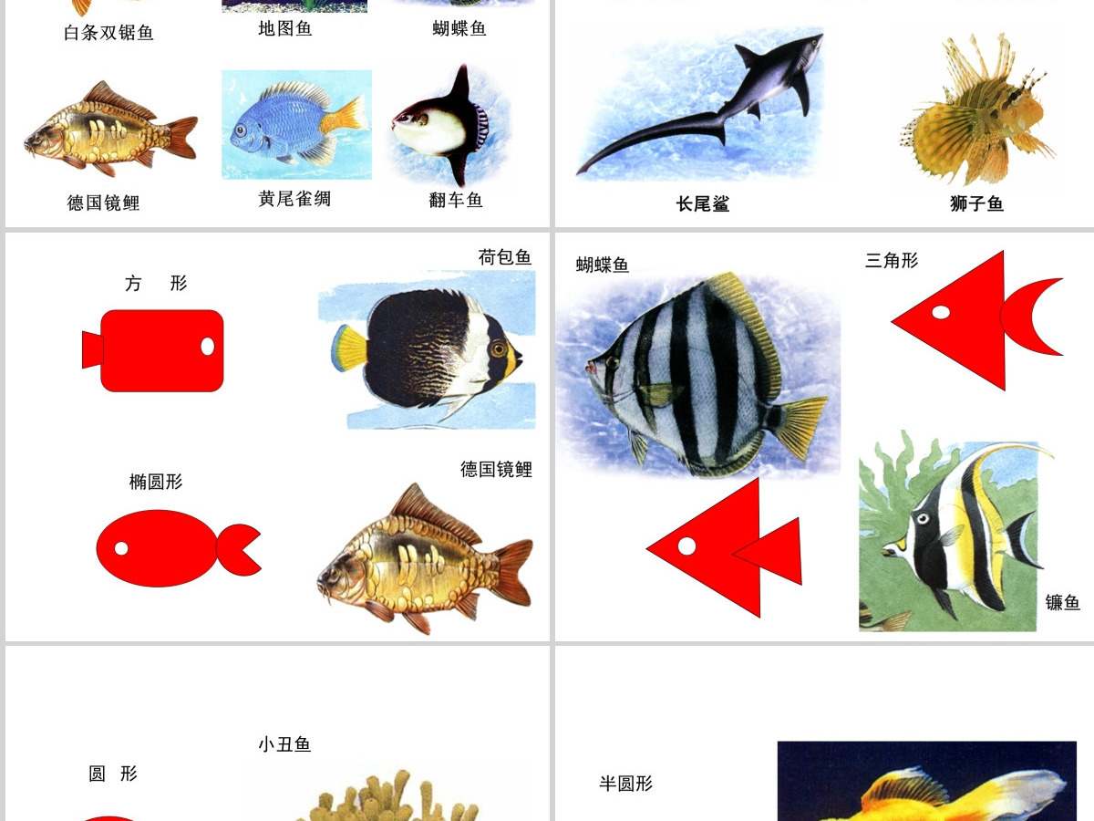 岭南版美术一年级下册7、大鱼和小鱼ppt 岭南版美术一年级下册7、大鱼和小鱼ppt