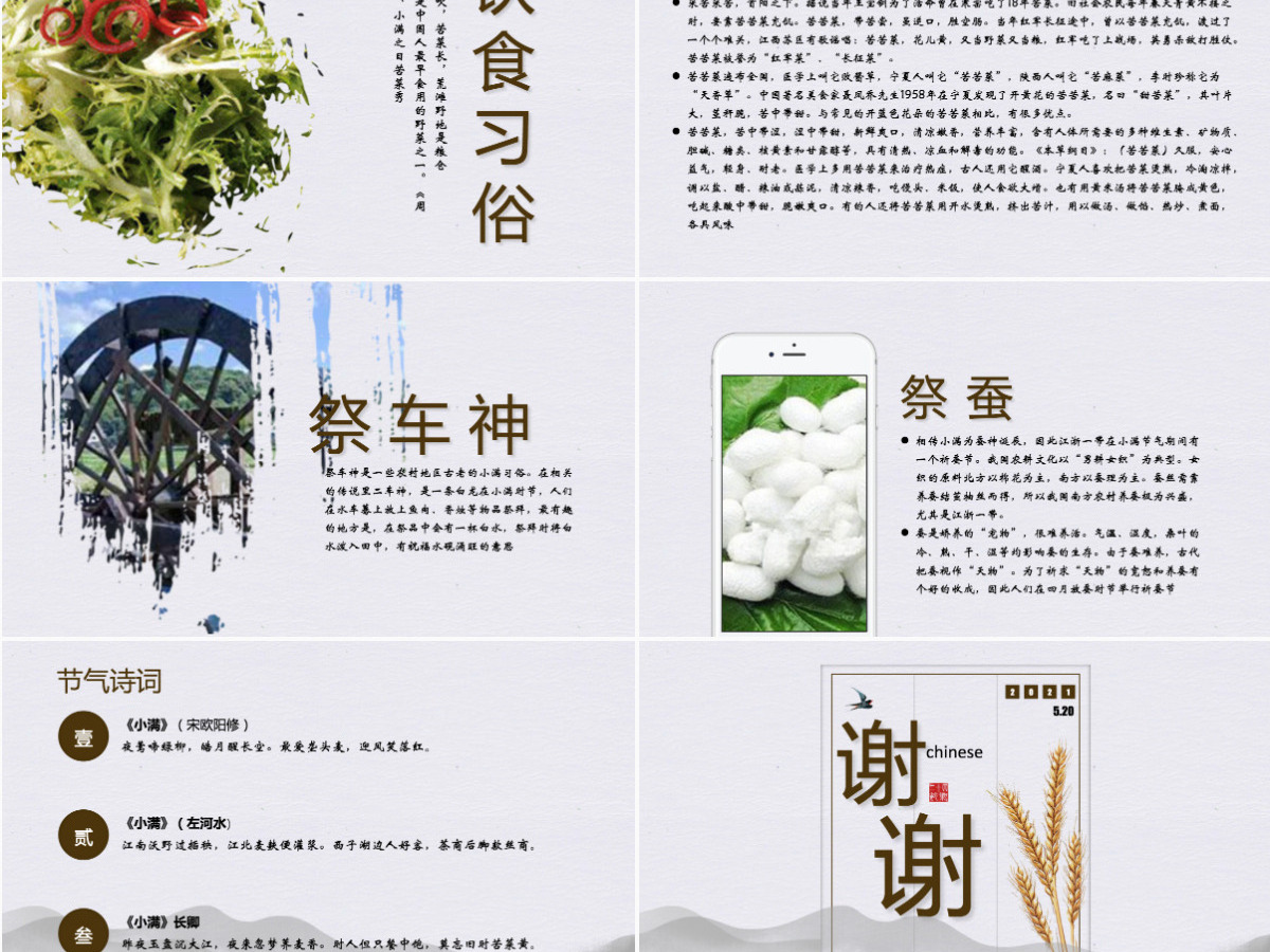 中国传统二十四节气之小满ppt模板 中国传统二十四节气之小满ppt模板