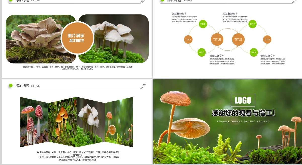 高清野生菌类动态PPT模板