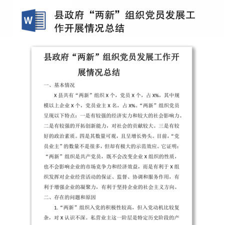 县政府“两新”组织党员发展工作开展情况总结