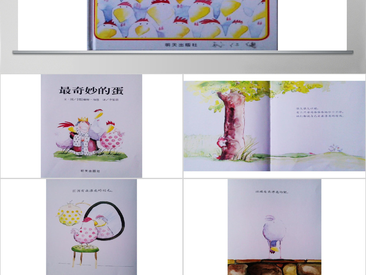 最奇妙的蛋幼儿绘本教育课件 最奇妙的蛋幼儿绘本教育课件