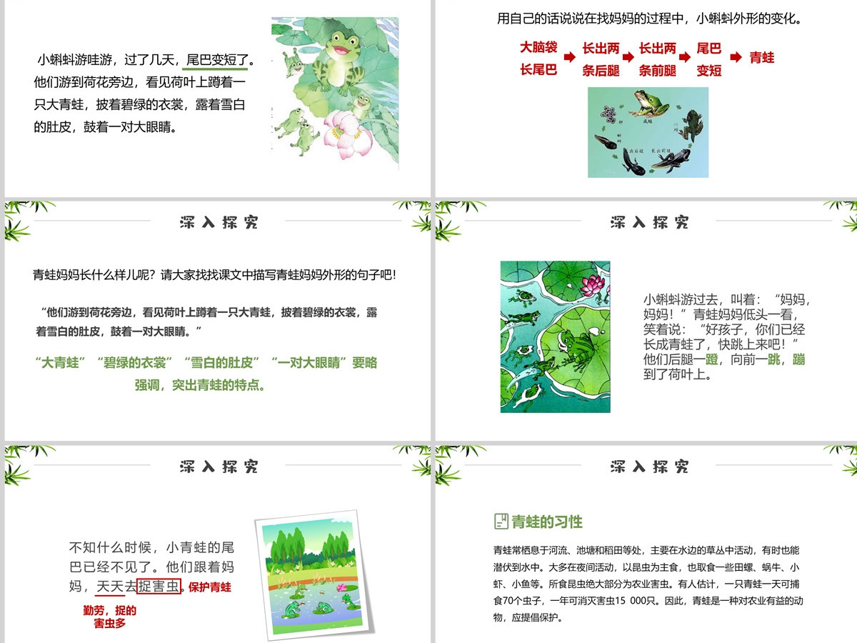 小学一年级下册课件《小蝌蚪找妈妈》PPT---含教案