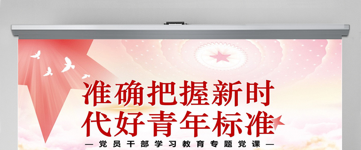 准确把握新时代好青年标准党政风党员干部学习教育专题党课PPT-含讲稿
