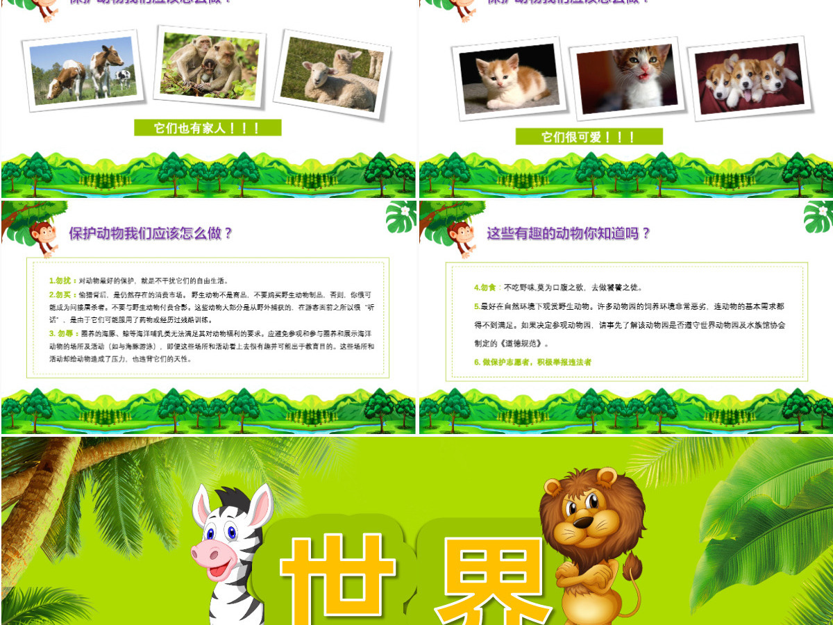 世界动物日介绍保护动物ppt 世界动物日介绍保护动物ppt