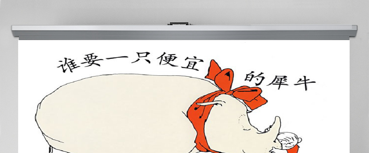 谁要一只便宜的犀牛PPT