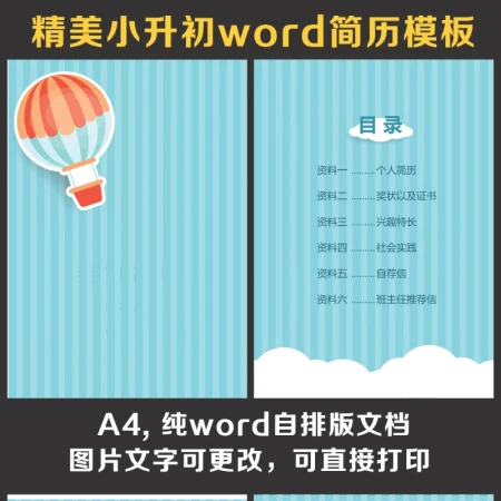 小升初简历