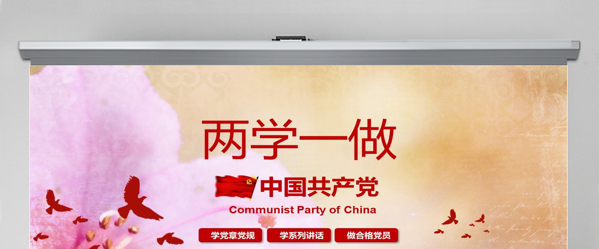 两学一做ppt模板党课课件党建党章学习--含讲稿 两学一做ppt模板党课课件党建党章学习--含讲稿