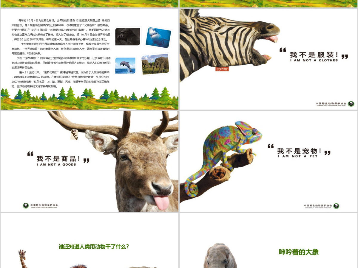 卡通风格世界动物保护日PPT模版 卡通风格世界动物保护日PPT模版