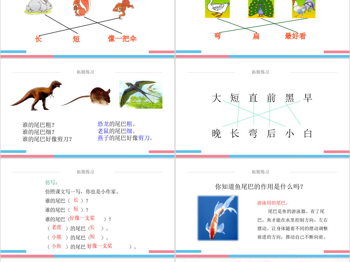 人教版小学一年级语文上册第五章课文：第六课——比尾巴（含配套教案）课件PPT