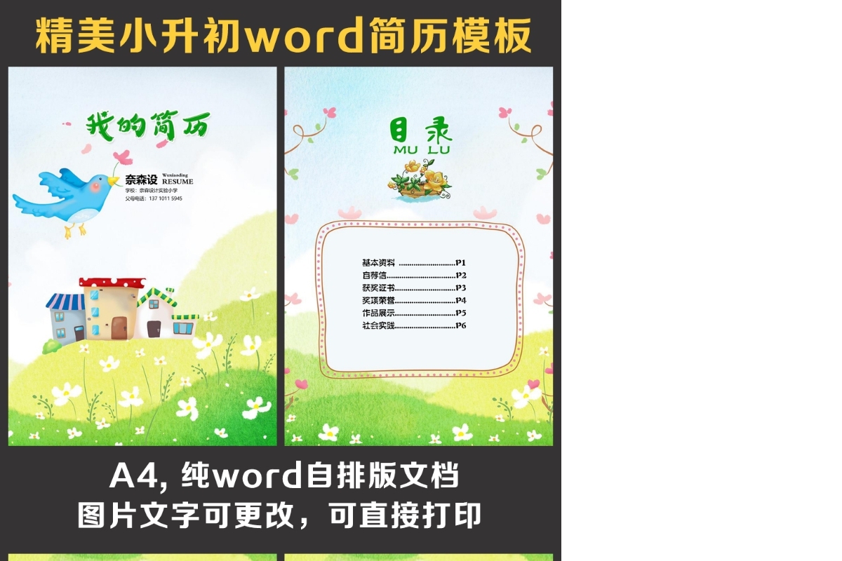 小升初简历
