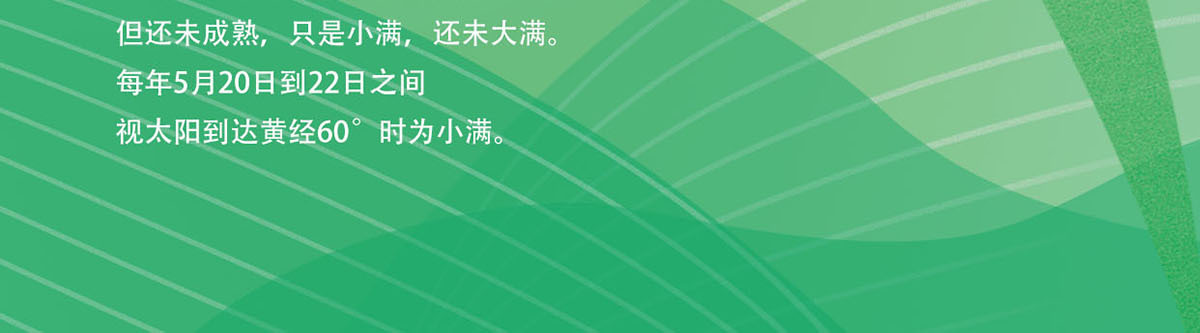 2022年小满节气海报竖版设计
