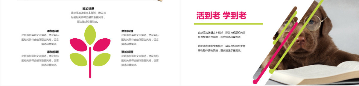 好书推荐读书阅读公开课说课读书教育PPT