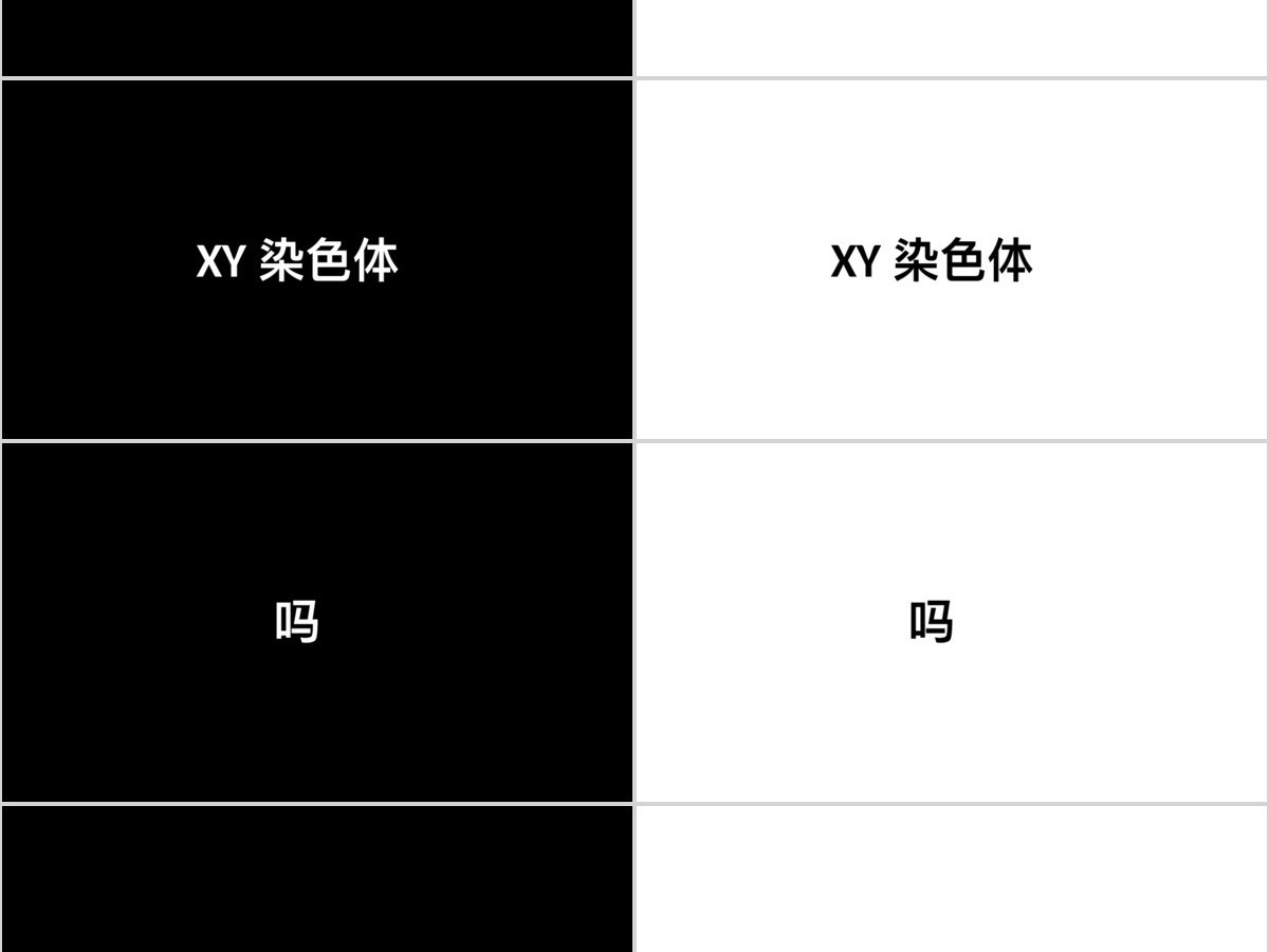 黑白简约创意炫酷快闪同学聚会