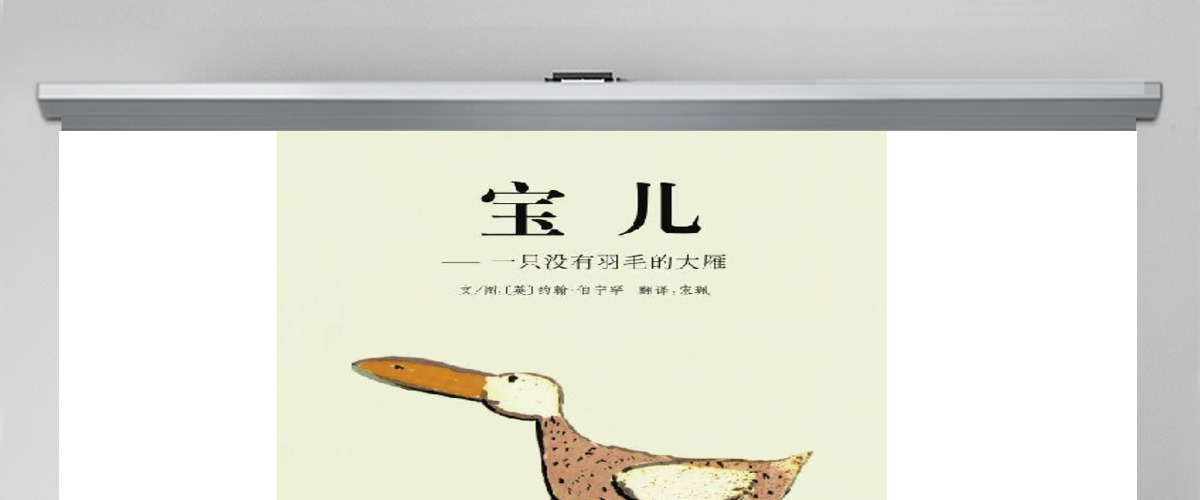 一只没有羽毛的大雁，宝儿