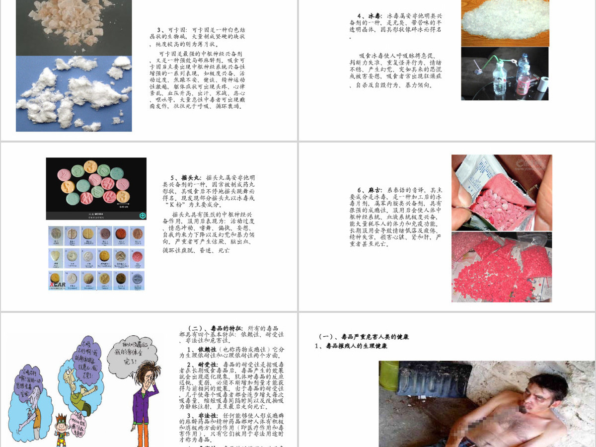 国际禁毒日禁毒委员会2016年工作总结计划PPT