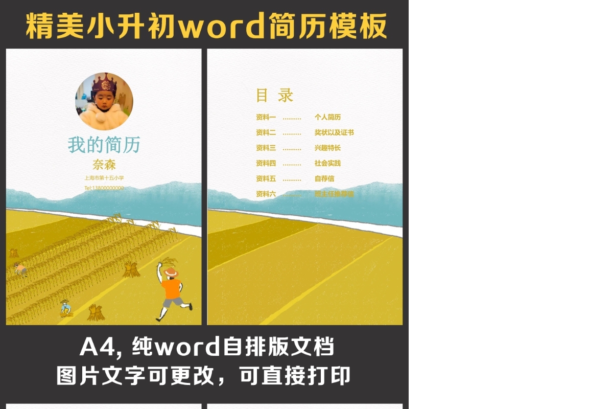小升初简历
