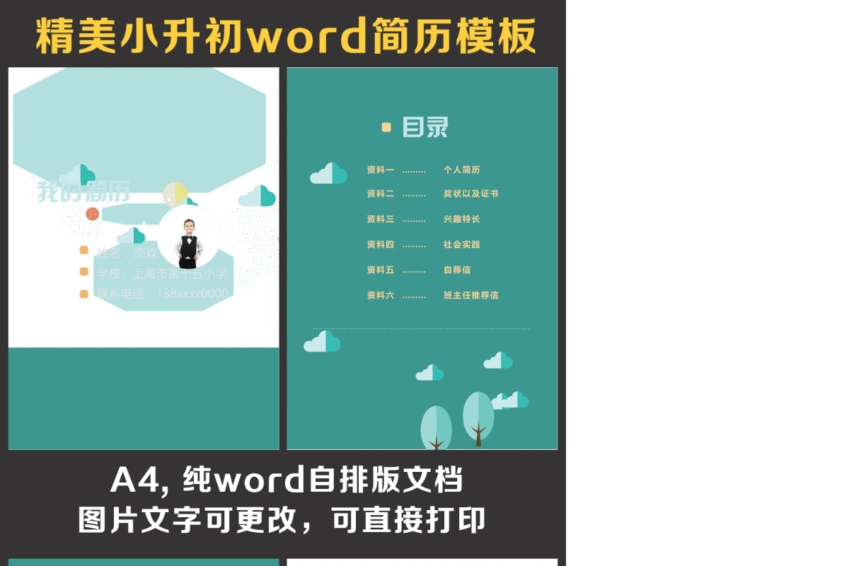 小升初简历