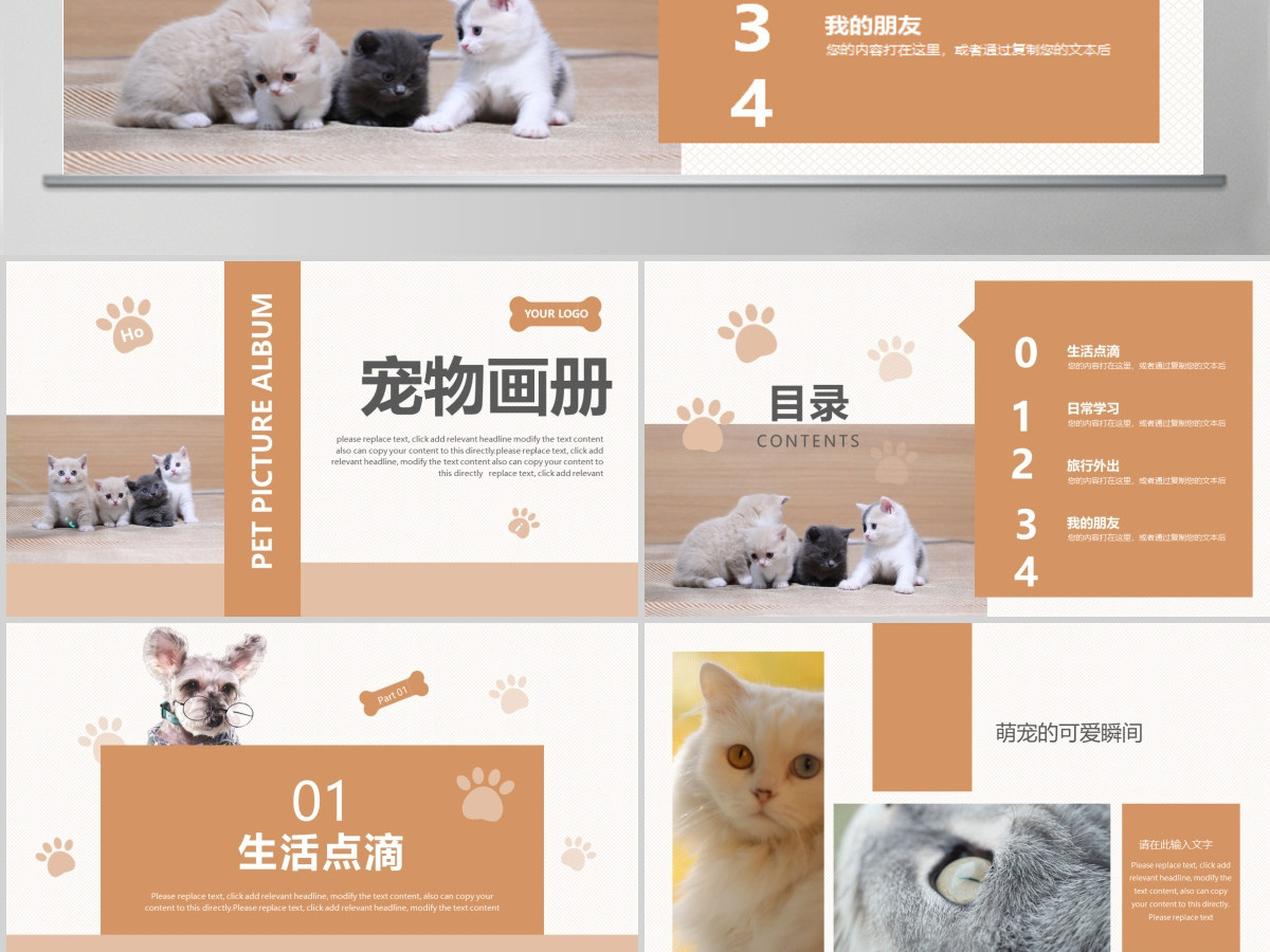 橙色可爱风格宠物小猫咪小动物宠物画册