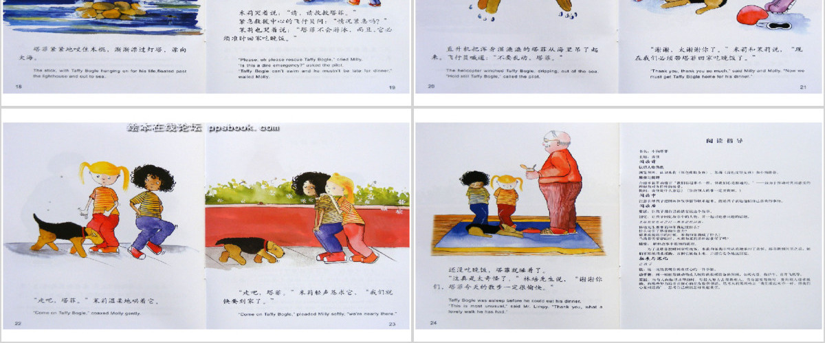 小狗塔菲的故事