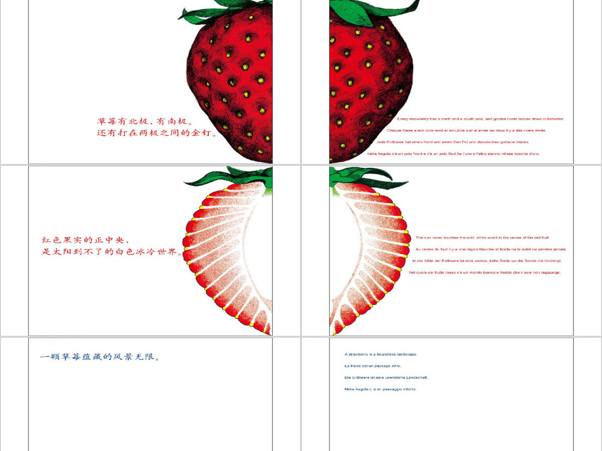 草莓绘本故事教育课件
