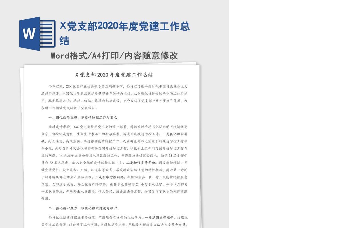 X党支部2020年度党建工作总结