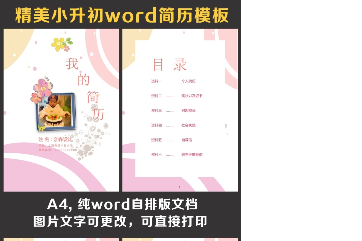 小升初简历