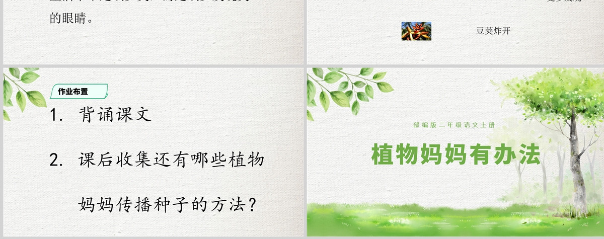2022植物妈妈有办法简约卡通课文第3课小学二年级语文上册人教版教学课件PPT