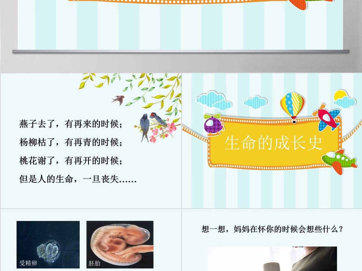 四年级品德与社会我们的生命课件PPT 四年级品德与社会我们的生命课件PPT