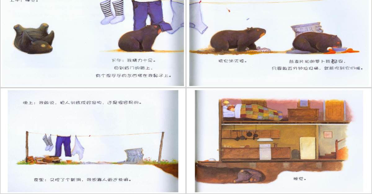 袋熊日记绘本课件