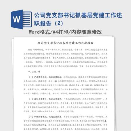 公司党支部书记抓基层党建工作述职报告（2）