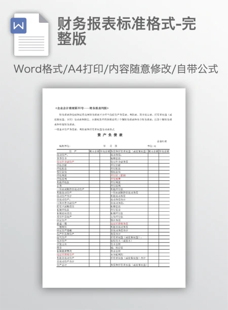 财务报表标准格式-完整版