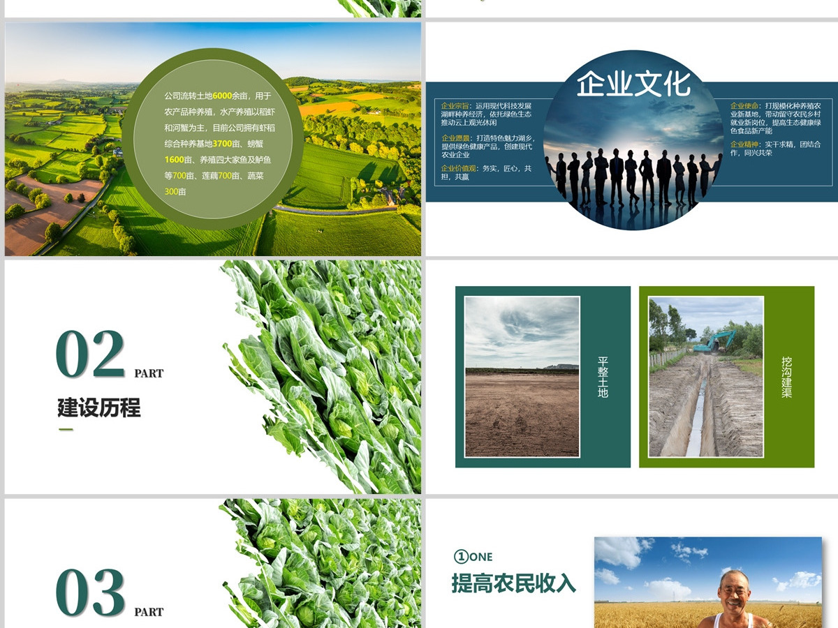 现代化农业公司介绍PPT模板 现代化农业公司介绍PPT模板