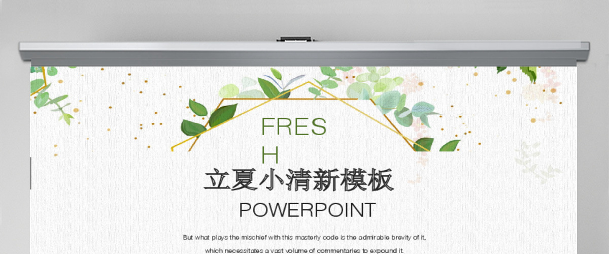 小清新立夏月度述职报告总结计划PPT模板