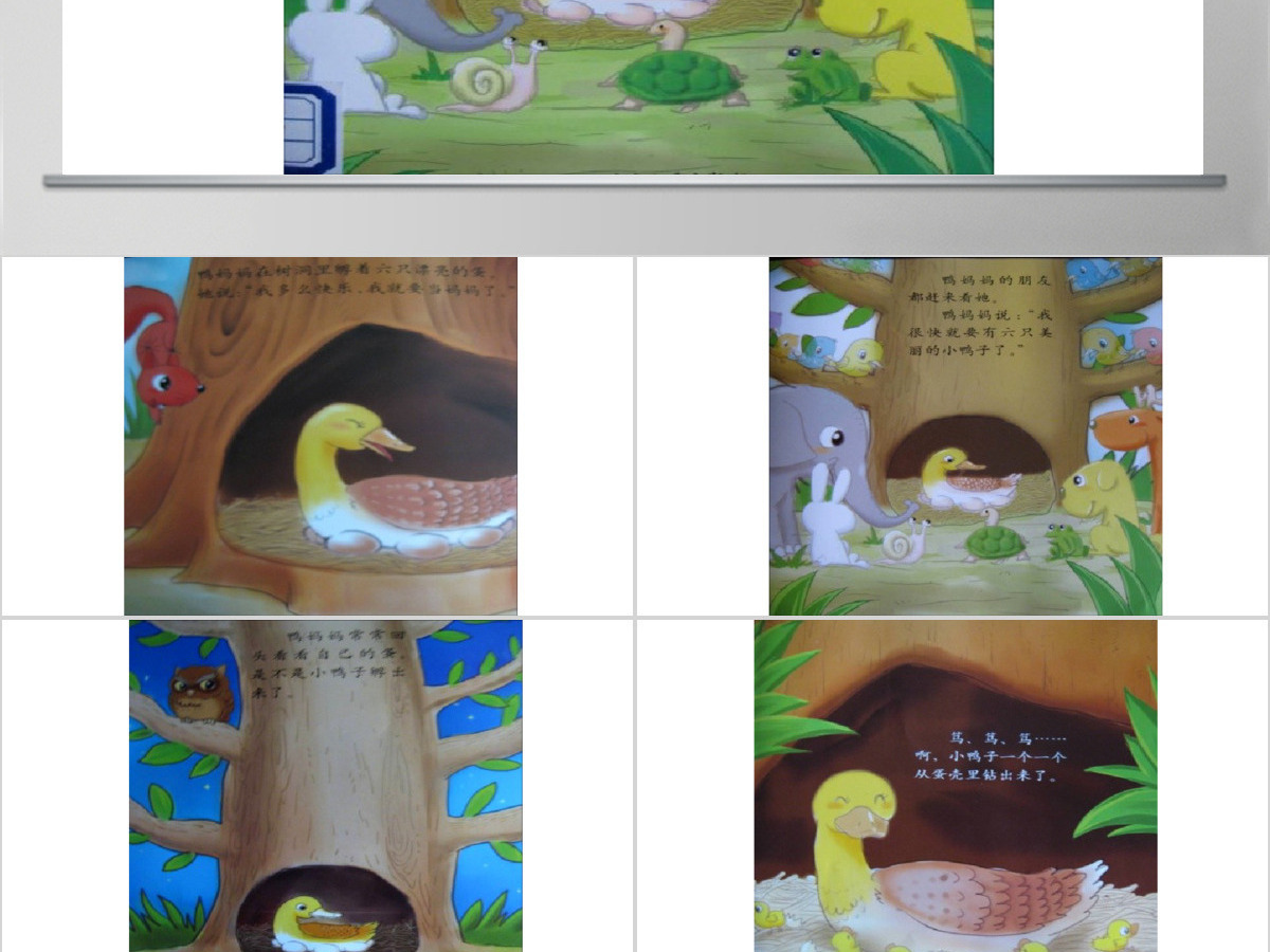 划圈儿的小小鸭幼儿绘本教育课件 划圈儿的小小鸭幼儿绘本教育课件