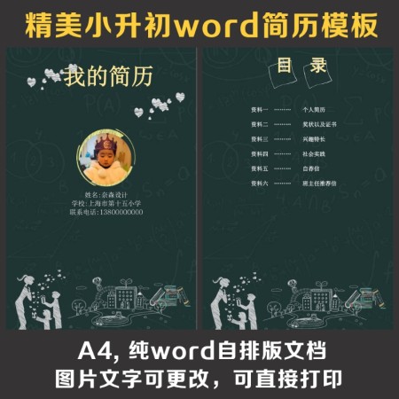 小升初简历