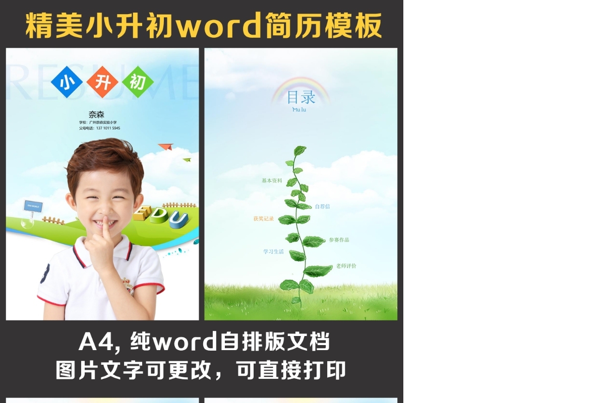 小升初简历