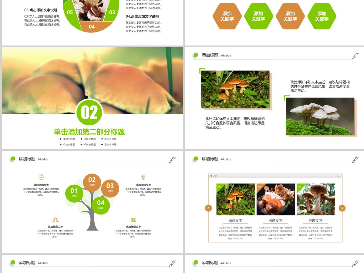高清野生菌类动态PPT模板 高清野生菌类动态PPT模板
