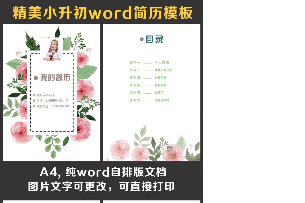 小升初简历