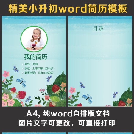 小升初简历