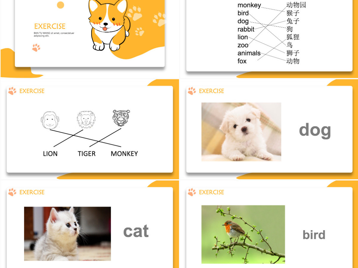 人教版小学一年级英语上册第三课：animals（含配套教案）课件PPT