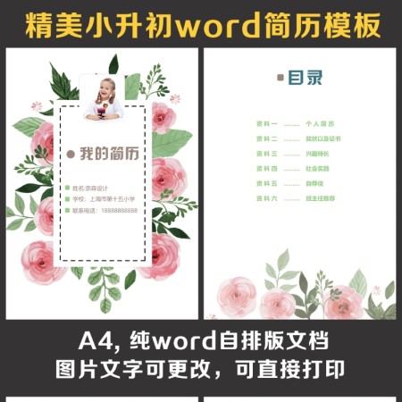 小升初简历