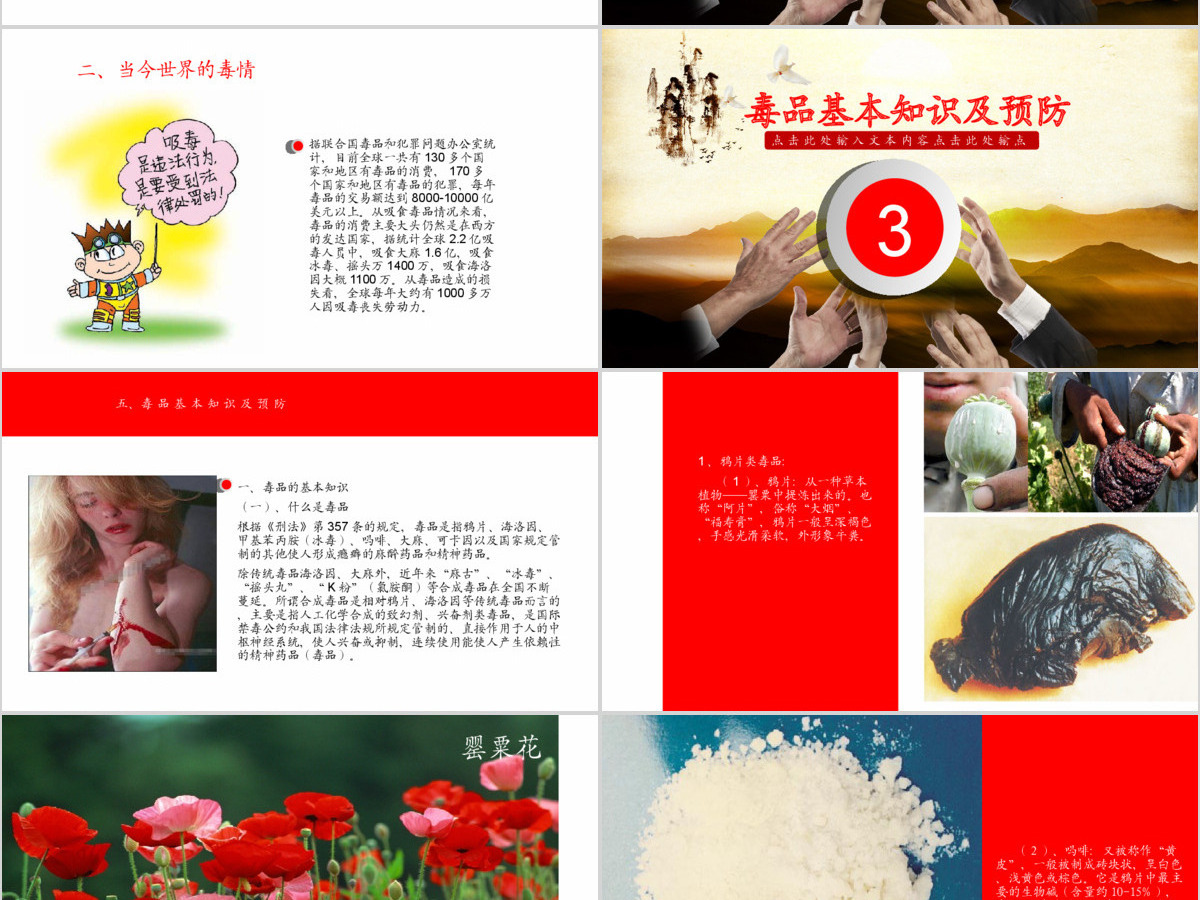 国际禁毒日禁毒委员会2016年工作总结计划PPT