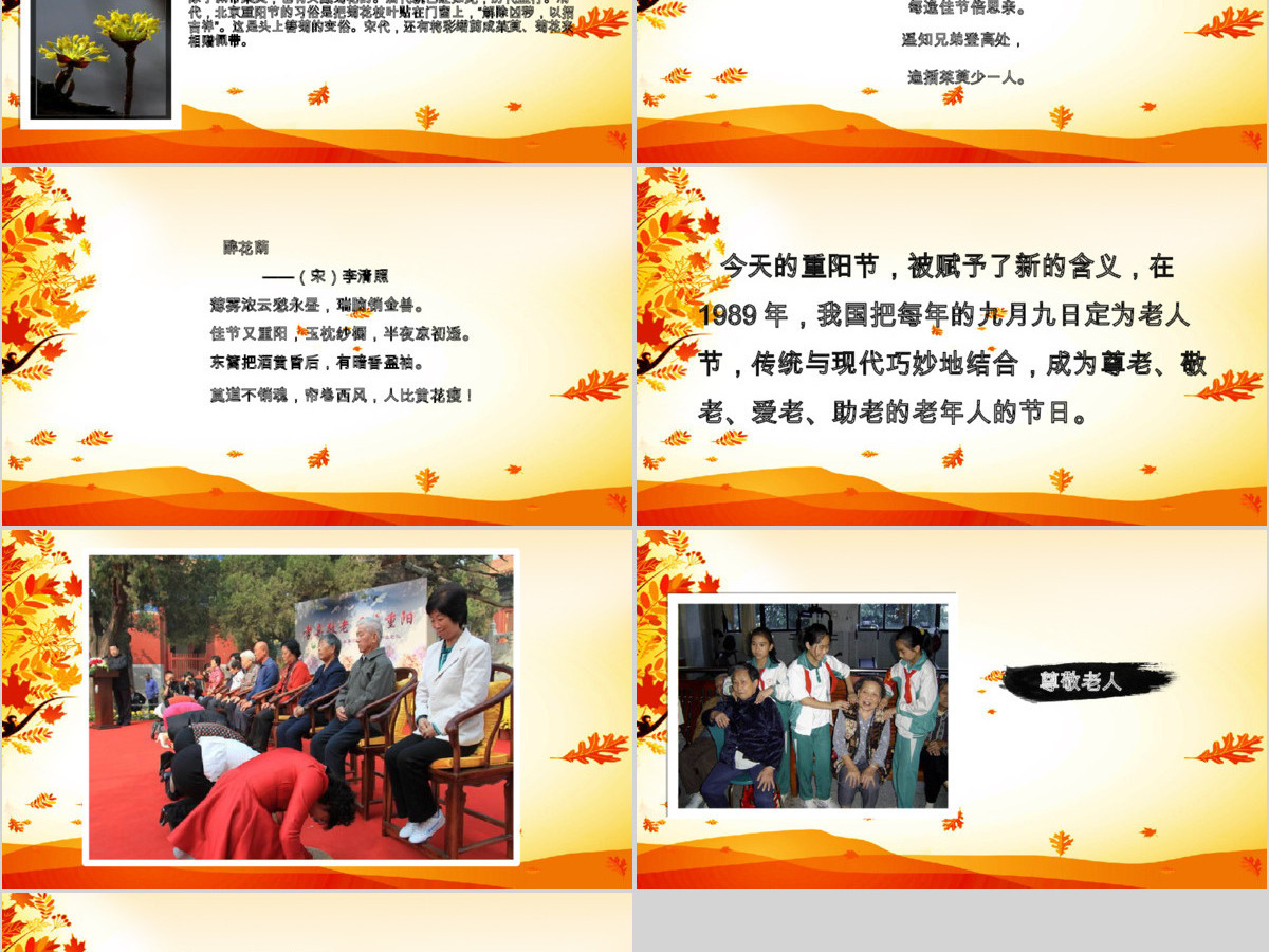 关爱老年人生活重阳节PPT模板